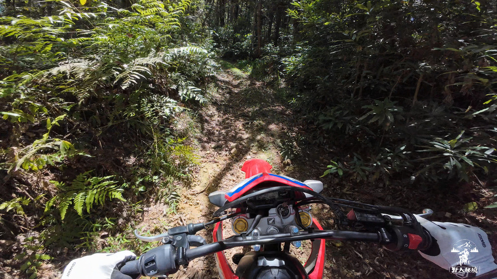 阿冷坑-1.jpg